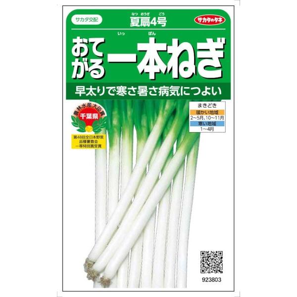 サカタのタネ　ネギ おてがる一本ねぎ 夏扇4号　3ml【郵送対応】