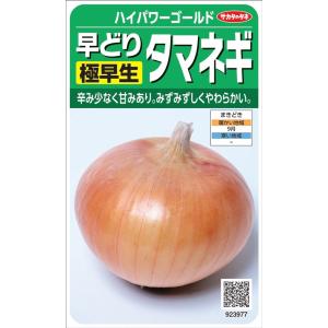サカタのタネ 極早生タマネギ「ハイパワーゴールド...の商品画像
