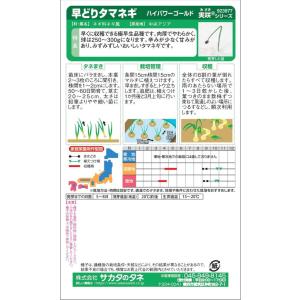 サカタのタネ 極早生タマネギ「ハイパワーゴール...の詳細画像1