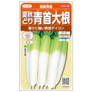 サカタのタネ ダイコン  暑さに強い 献夏青首 5.5ml【郵送対応】