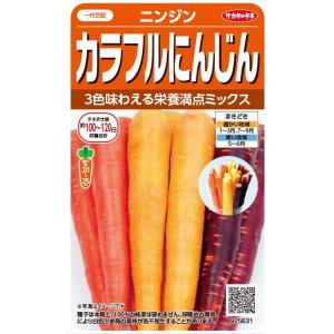 サカタのタネ　ニンジン 「カラフルにんじん」のタネ　3.5ml