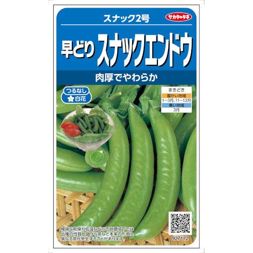 サカタのタネ  エンドウ つるなし早どりスナック つるなしスナック2号 30ml【郵送対応】【品種名...