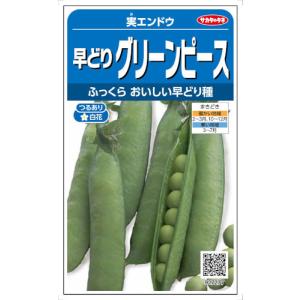 サカタのタネ エンドウ 早どりグリーンピース 20ml【郵送対応】