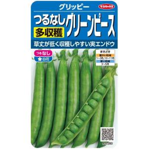 サカタのタネ つるなし多収穫グリーンピース グリッピー 30ml【郵送対応】