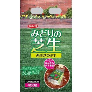 サカタのタネ　みどりの芝生 西洋シバのタネ  450g入【宅配便対応】