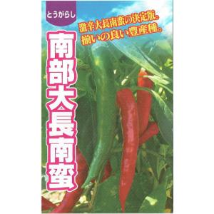 FRANCHI社】【146/2】ズッキーニ STRIATO D' ITALIA : 日光種苗ヤフー