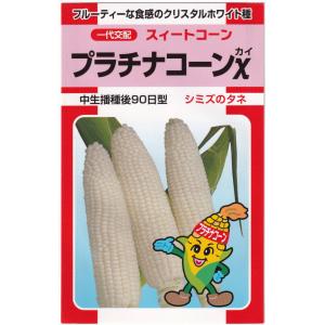 野菜の種/種子 ピクニックコーン・とうもろこし 500粒 （メール便発送