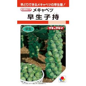 タキイ種苗 芽キャベツ 早生子持 0.9ml【郵送対応】