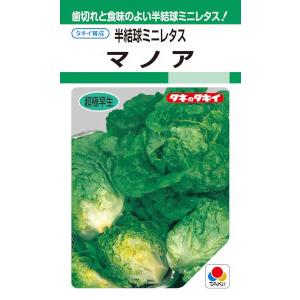 タキイ種苗 半結球ミニレタス マノア 1.8ml【郵送対応】