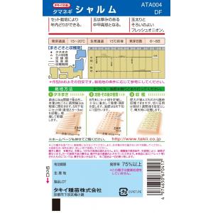 タキイ種苗 タマネギ シャルム 5ml【郵送対応】の詳細画像1