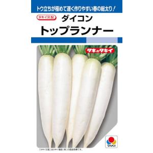 タキイ種苗 ダイコン トップランナー 3.5ml...の商品画像