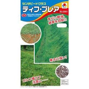 タキイ種苗 センチピードグラス ティフ ブレア ...の商品画像