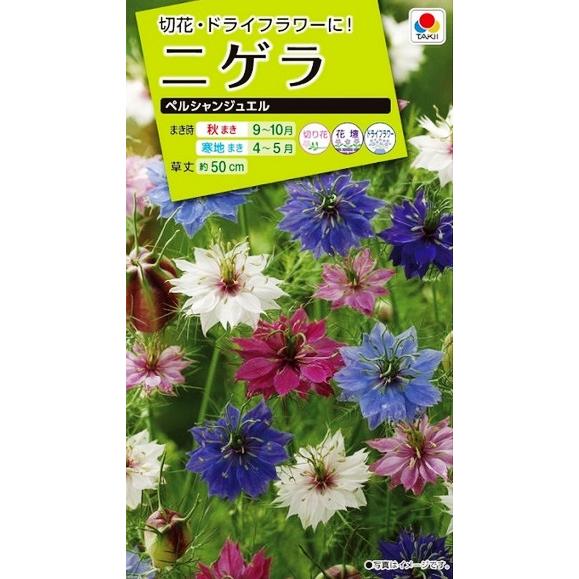 タキイ種苗　ニゲラ　ペルシャンジュエル　1.5ml【郵送対応】