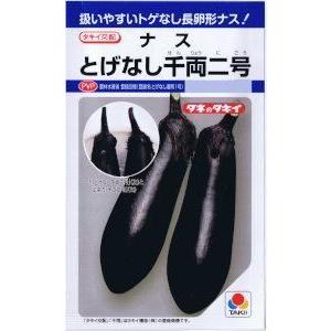 なすびページ triboxストア / ShengShou Petaminx