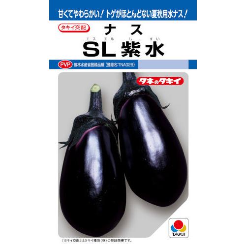 タキイ種苗 ナス SL紫水 約35粒 【郵送対応】【品種名：TNA029_登録番号：第21285号】