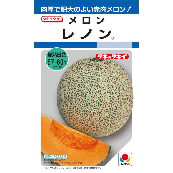 タキイ種苗　メロン　レノン　約6粒【郵送対応】