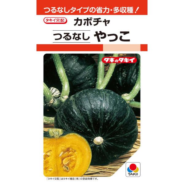 タキイ種苗　カボチャ　つるなしやっこ　約12粒【郵送対応】