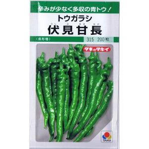 タキイ種苗　トウガラシ　伏見甘長（長形種） 約180粒 【郵送対応】