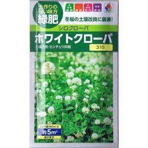 タキイ種苗　緑肥用　ホワイトクローバー　フィア　60ml【郵送対応】