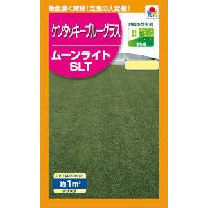 タキイ種苗　ケンタッキーブルーグラス　ムーンライトSLT　60ml 【郵送対応】