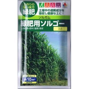 タキイ種苗　緑肥用ソルゴー　（ソルガム）　60ml 【郵送対応】｜nikkoseed2012