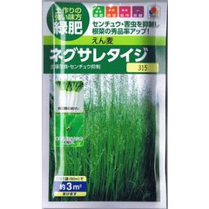 タキイ種苗　緑肥用エンバクネグサレタイジ　60ml 【郵送対応】｜nikkoseed2012
