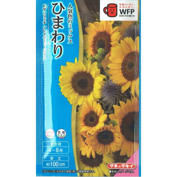 タキイ種苗　ヒマワリ　サンリッチソレイユミュージアム　3ml【郵送対応】