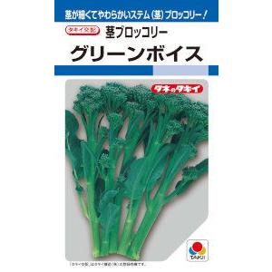 タキイ種苗　茎ブロッコリー　グリーンボイス　0.9ml 【郵送対応】