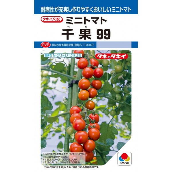 タキイ種苗　ミニトマト　千果99　12粒【郵送対応】【品種名：TTM042_登録番号：第23868号...