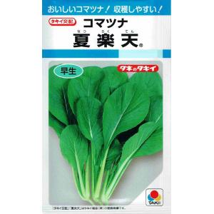 ねぎ 大河の轟き 5ml 裸種子(約675粒) トキタ種苗 : グリーンロフト