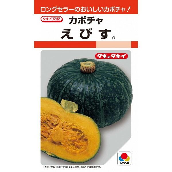 タキイ種苗　カボチャ　えびす　13粒 【郵送対応】