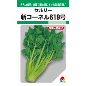 タキイ種苗　セルリー　新コーネル６１９号　0.8ml（セロリ）【郵送対応】｜nikkoseed2012