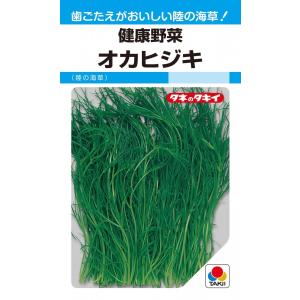 タキイ種苗　オカヒジキ　9ml【郵送対応】｜nikkoseed2012