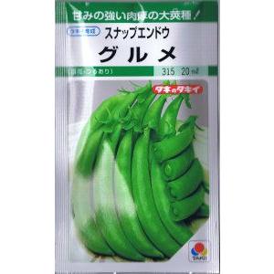 タキイ交配　スナップエンドウ　グルメ（白花・つるあり） 18ml 【郵送対応】