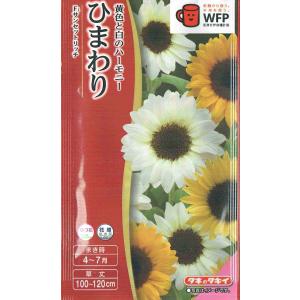 トーホク 花の種 ひまわり コンサートベル : イケダグリーンセンター