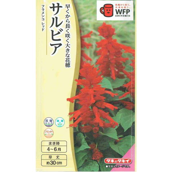 タキイ種苗 サルビア フラメンコレッドのタネ[内容量：0.4ml]