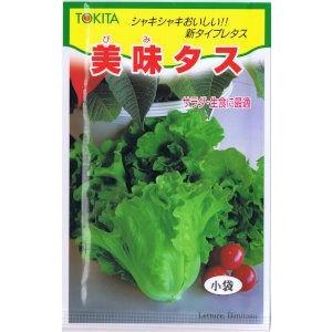 トキタ種苗 レタス 美味タス [内容量:約2ml]の商品画像