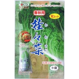 ルッコラページ 楽天市場】ルッコラ Rocket Salad, Rucola / アブラナ科 Eruca