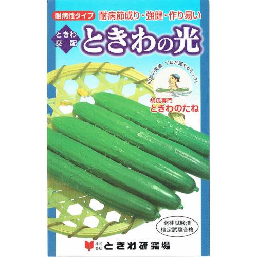 ときわ研究場　きゅうり　ときわの光　約20粒【郵送対応】