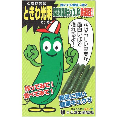 ときわ研究場　きゅうり　ときわ光明　約20粒【郵送対応】