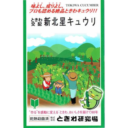 ときわ研究場　新北星キュウリ　約20粒【郵送対応】