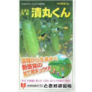 ときわ研究場　キュウリ　漬丸くん　約20粒【郵送対応】