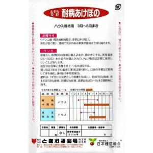 ときわ研究所 キュウリ 耐病あけぼの 約20粒...の詳細画像1