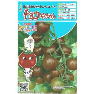 ミニトマト 種 『サンチェリーライズ（TSX-201）』 トキタ種苗/100粒