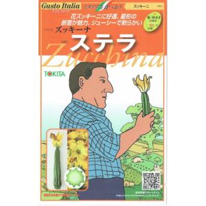 花ズッキーニの商品一覧 通販 Yahoo ショッピング