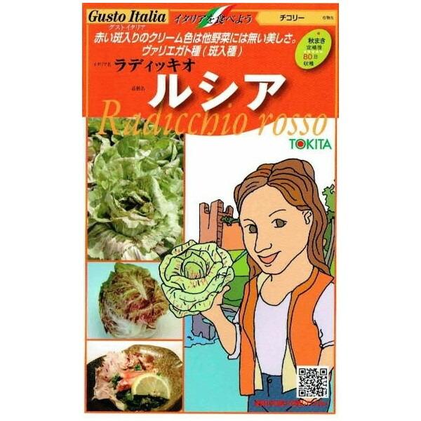 トキタ種苗　グストイタリア　ルシア (チコリー) [内容量：約80粒]
