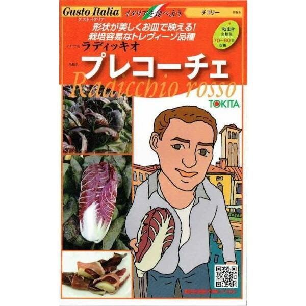 トキタ種苗　グストイタリア　プレコーチェ (チコリー) [内容量：約80粒]