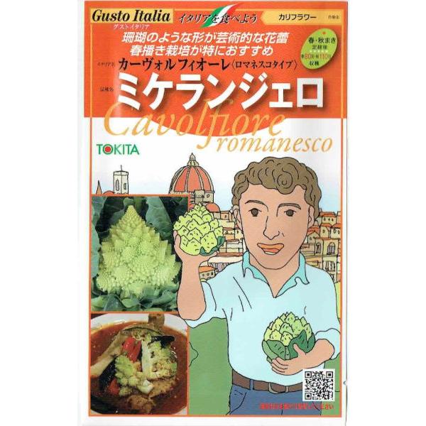トキタ種苗　グストイタリア　ミケランジェロ (カリフラワー) [内容量：約50粒]