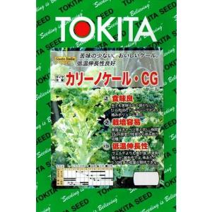 トキタ種苗　グストイタリア　カリーノケール・CG[内容量：約200粒]