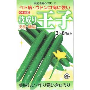 埼玉原種育成会　キュウリ　枝成り王子　約20粒【郵送対応】